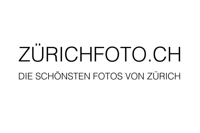 Zuerichfoto Logo