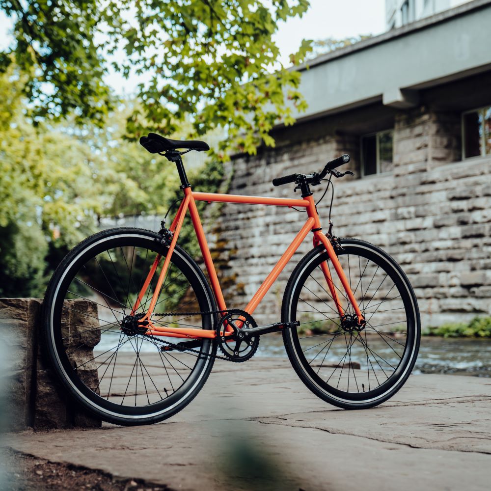 Siech Cycles 6