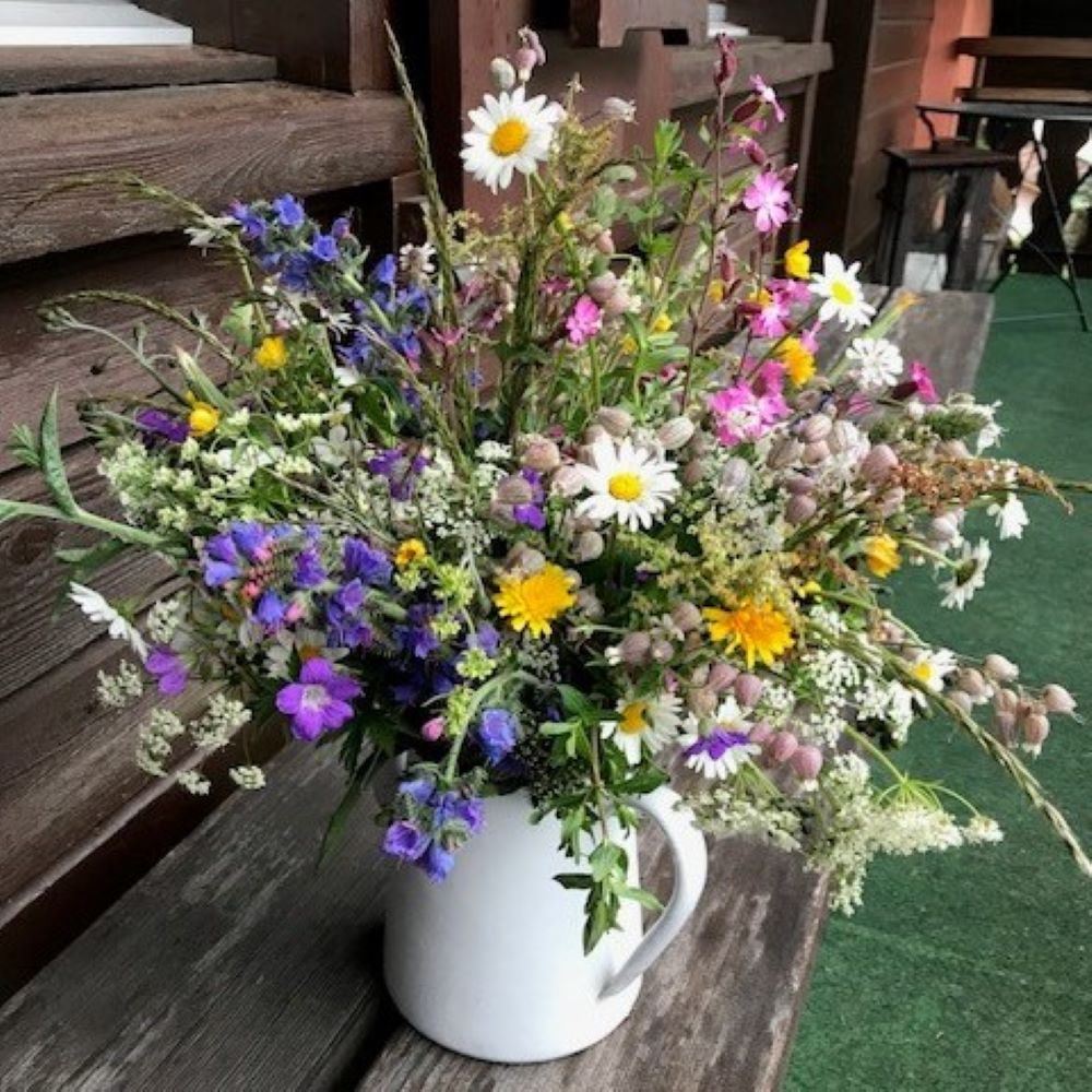 Blumen Schipfe Wiesenblumen Zürich cotedazurich