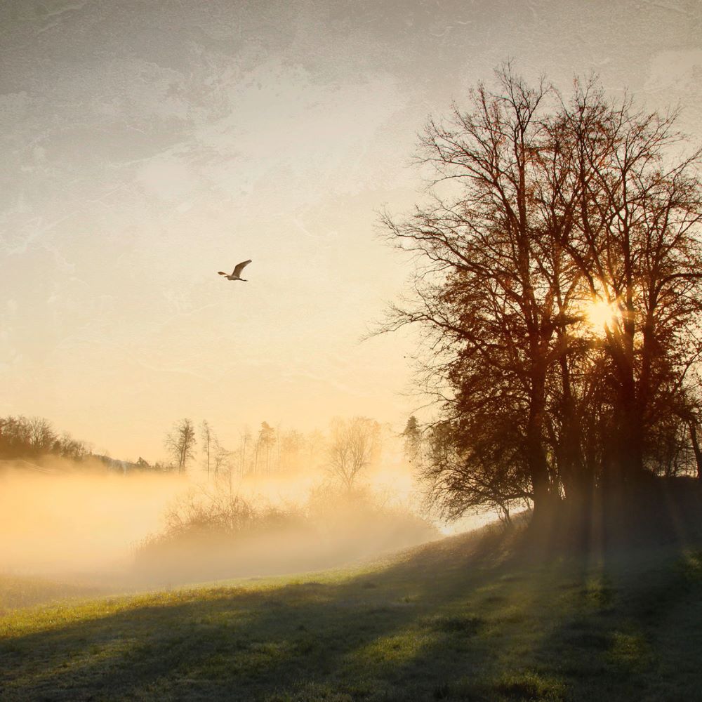 RiC Photography Raymond Innauen Herbstlandschaft cotedazurich