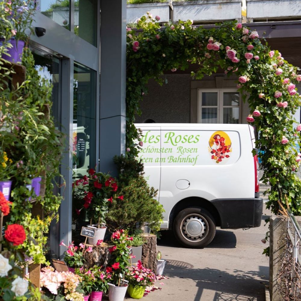 valse des roses lieferservice rosen und orchideen zuerich cotedadzurich