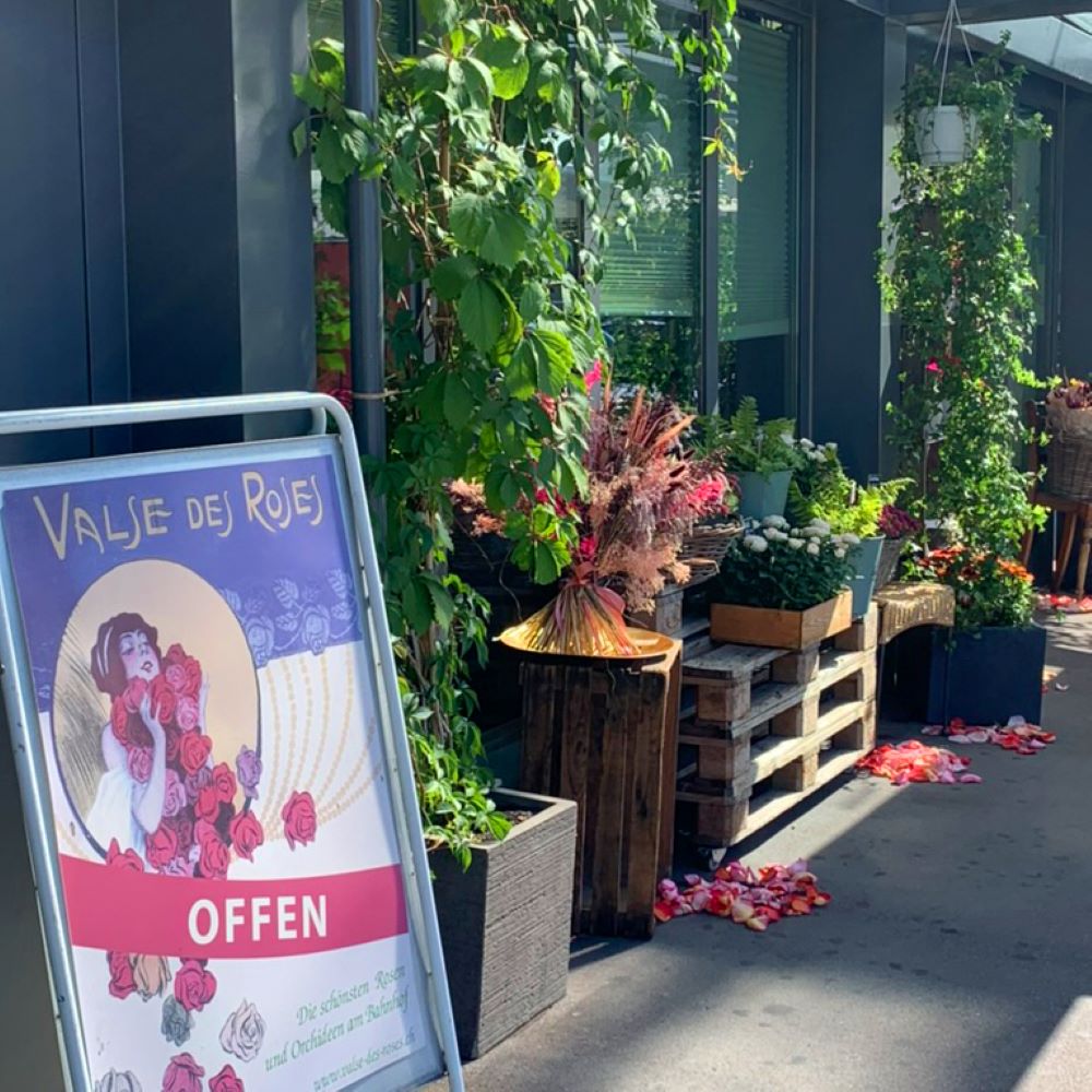 valse des roses tiefenbrunnen geschäft rosen und orchideen zuerich cotedadzurich