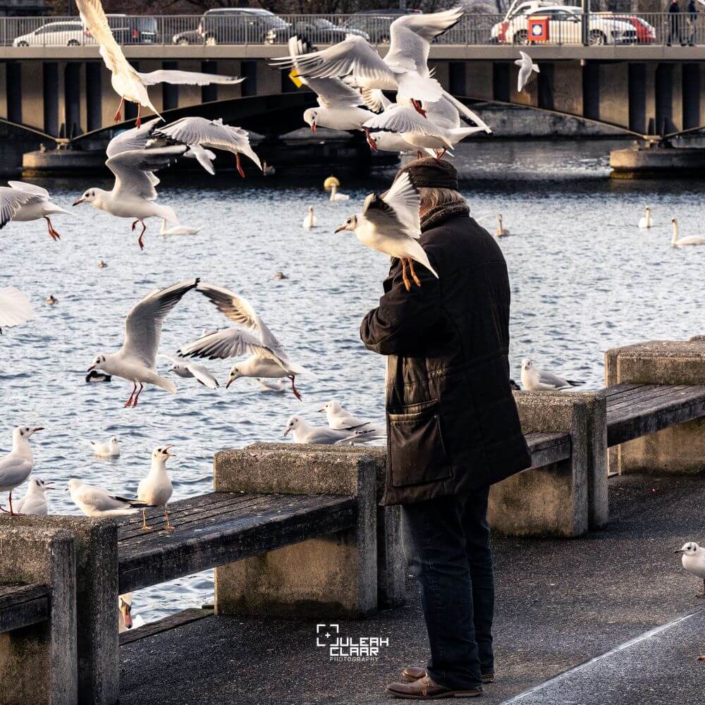 Juleah Claar Photography Seepromenade Möven Zuerich cotedazurich