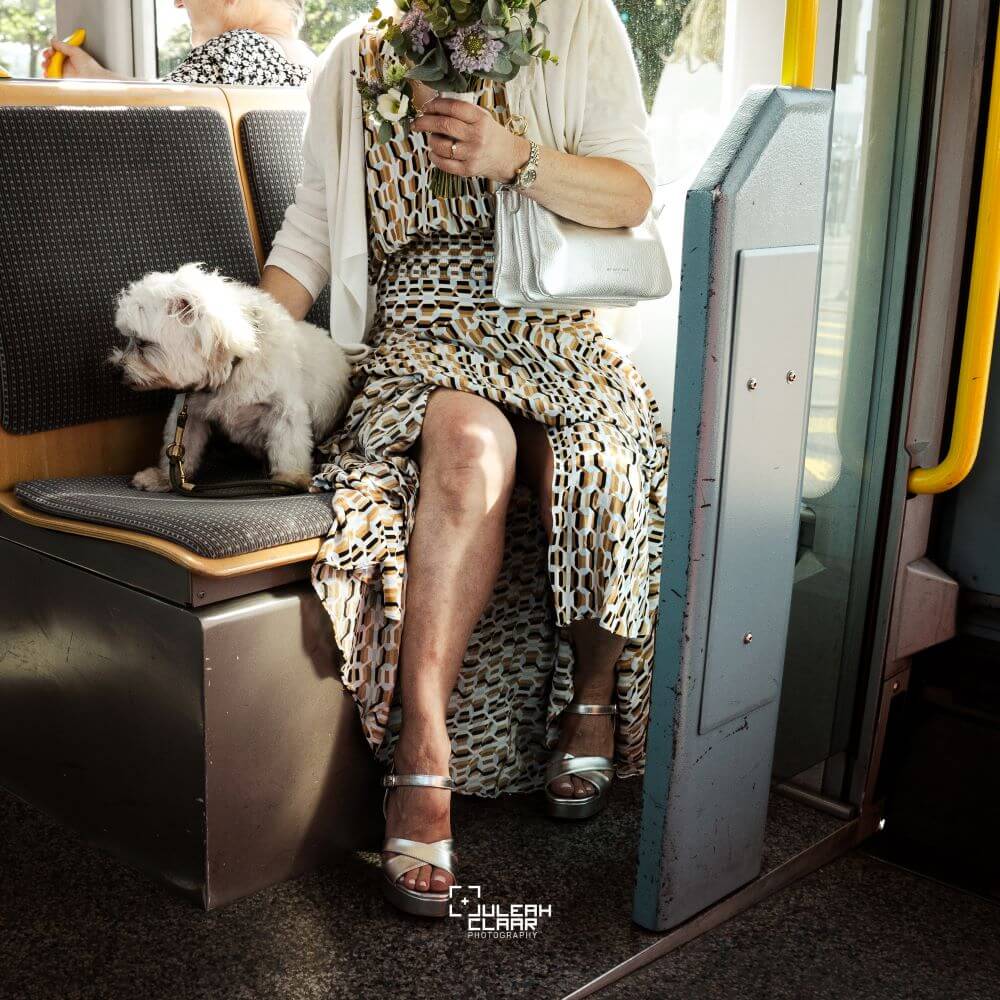 Juleah Claar Photography ZVV Dog Traveling Zuerich cotedazurich