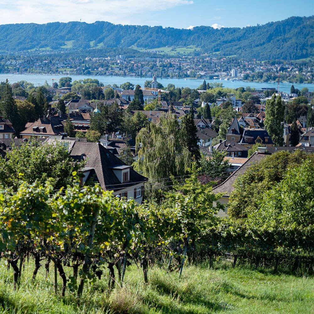 Landolt Weine Panorama Zuerich Zuerich cotedazurich