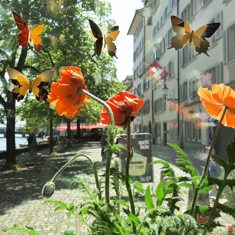 Marktlücke Laden Schaufenster Papillon Mohn Zuerich cotedazurich