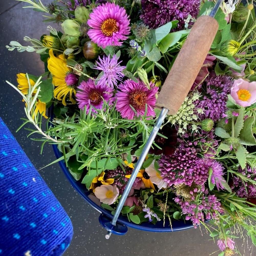 blueme lokal blumen im kübel